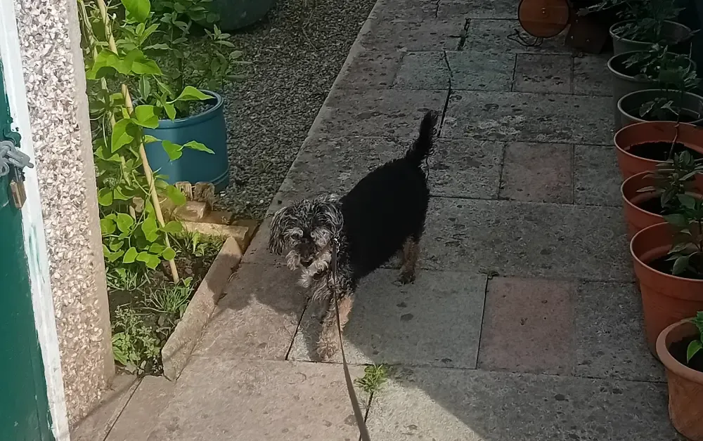 Harry living the park home lifestyle.
